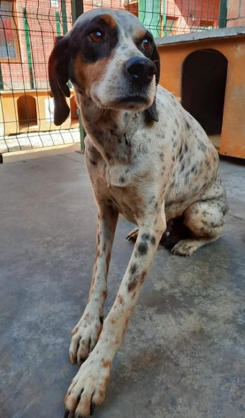 მეტისი ქ.ქუთაისი ტასო ლოსაბერიძე