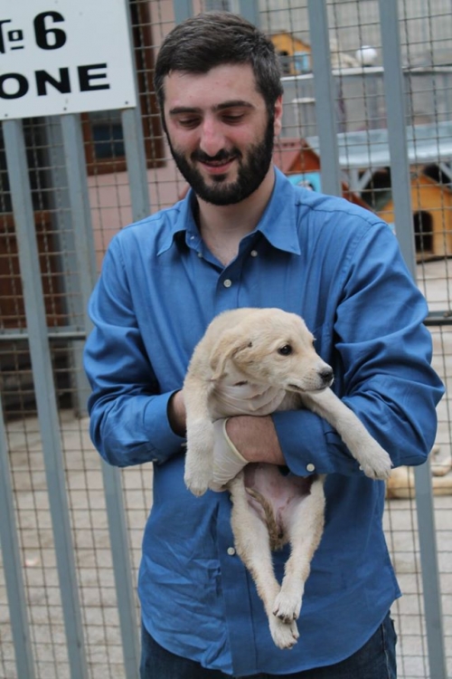 მეტისი უსახელო