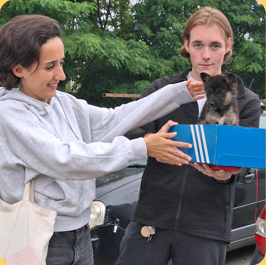 მეტისი. გაბრიელა