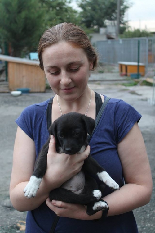 მეტისი უსახელო