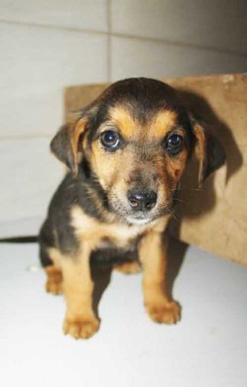 მეტისი უსახელო