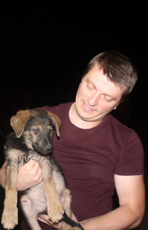 მეტისი უსახელო