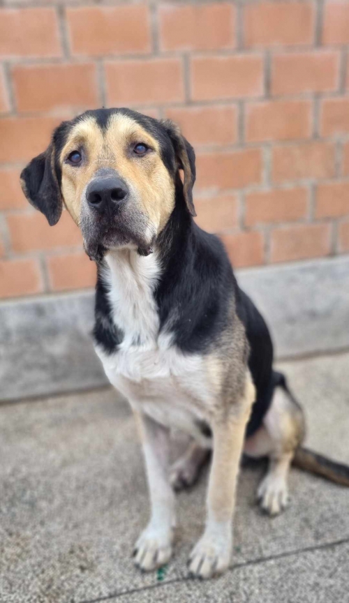 მეტისი ვარკეთიკის 3 1 მკრ. სუხიშვილის ქუჩა 21 ა კპ.