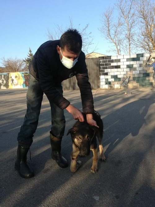 მეტისი ნაპოვნია თემქაზე