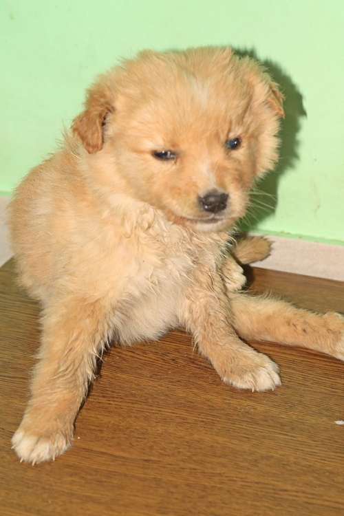 მეტისი უსახელო