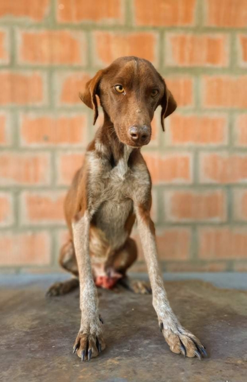 მეტისი კასპის რაიონი