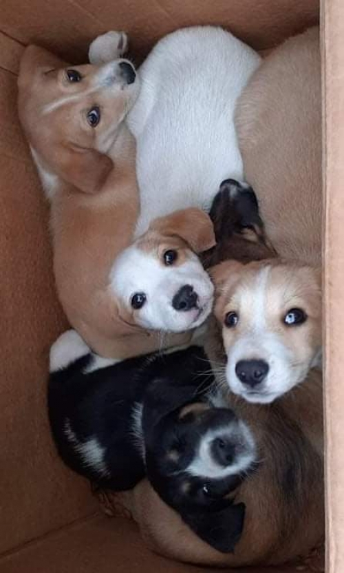 მეტისი უსახელო