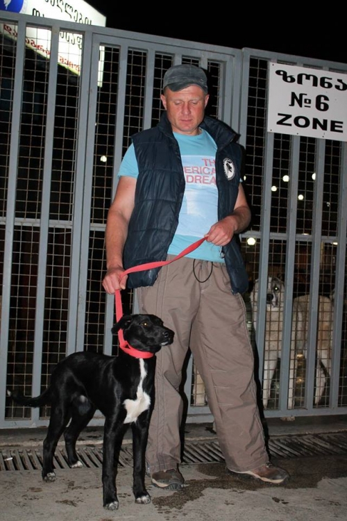 მეტისი უსახელო