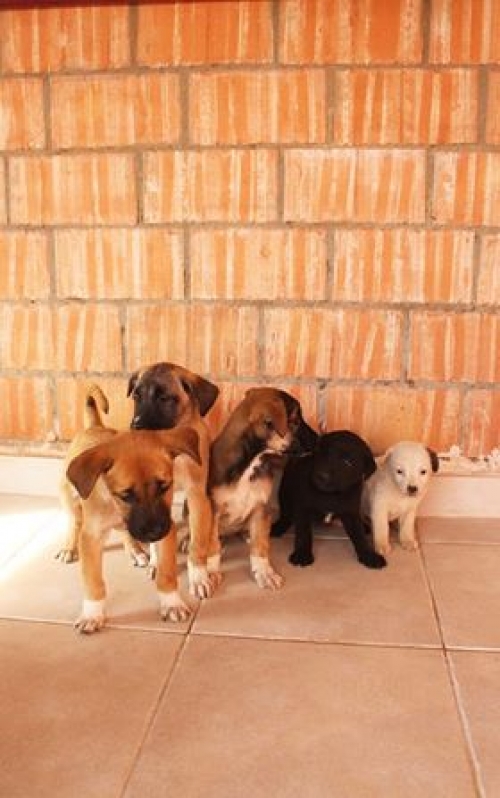 მეტისი უსახელო