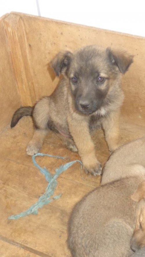 მეტისი უსახელო