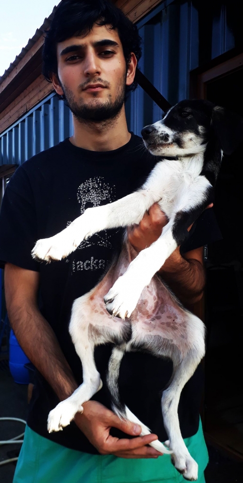 მეტისი უსახელო