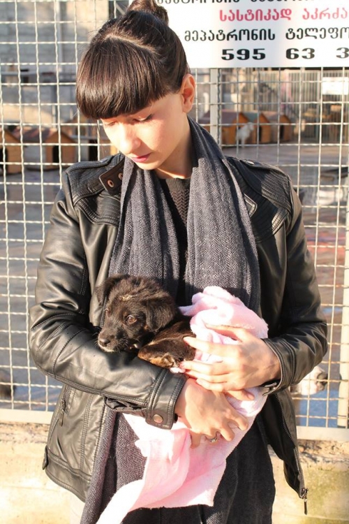 მეტისი უსახელო