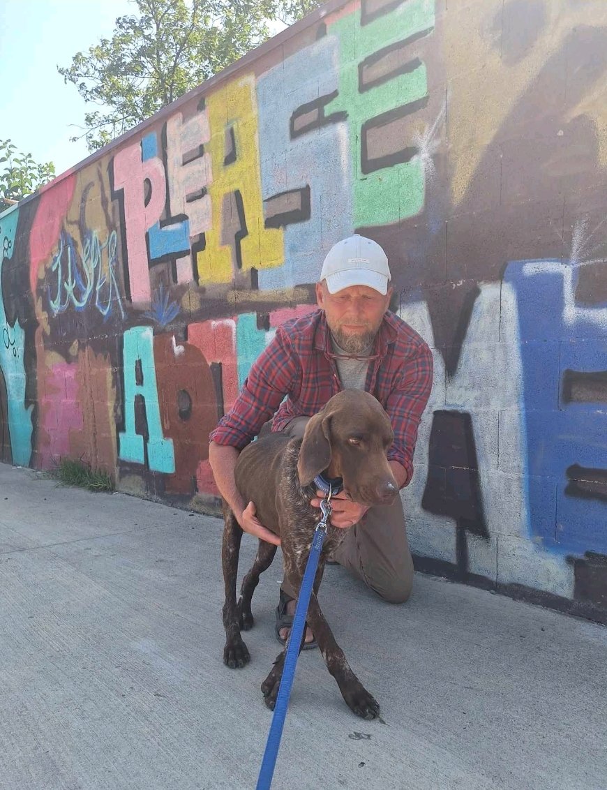 კურცჰაარი. გორი