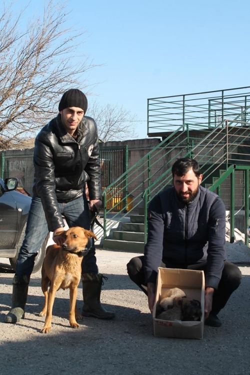 მეტისი უსახელო