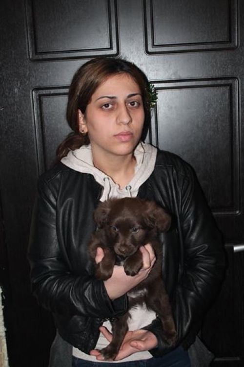 მეტისი უსახელო