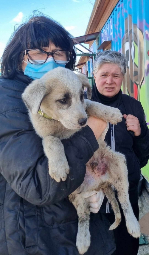 მეტისი მატროსოვის ქუჩა