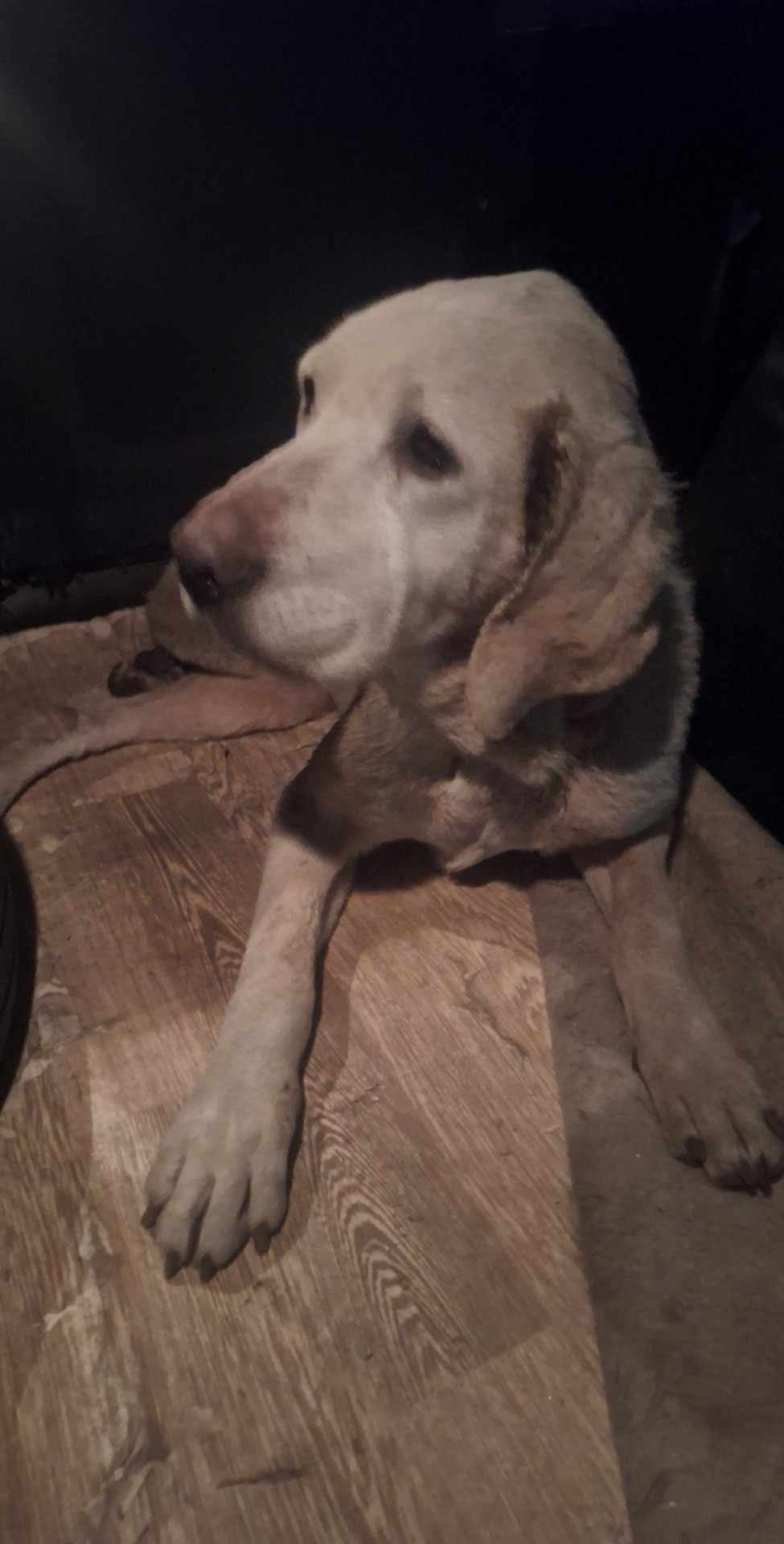 სოფელი მატანი