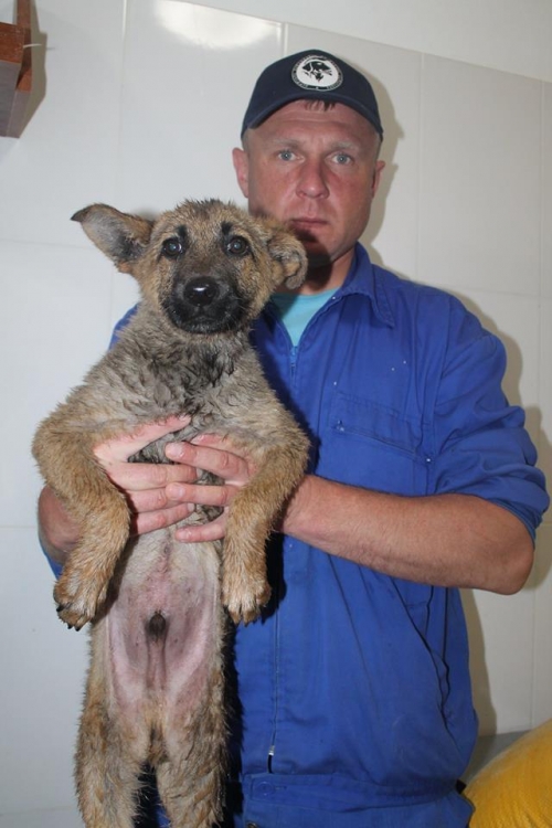 მეტისი უსახელო