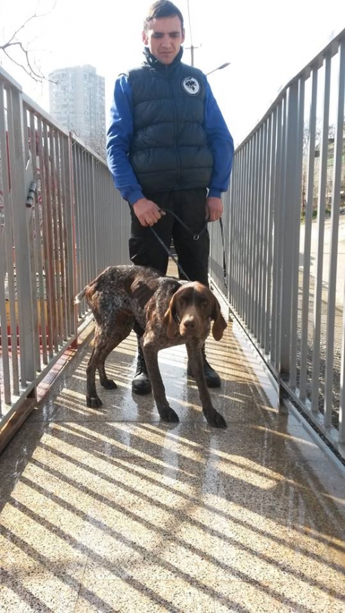 კურცხაარი უსახელო