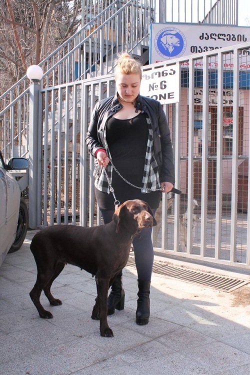 კურცხაარი უსახელო