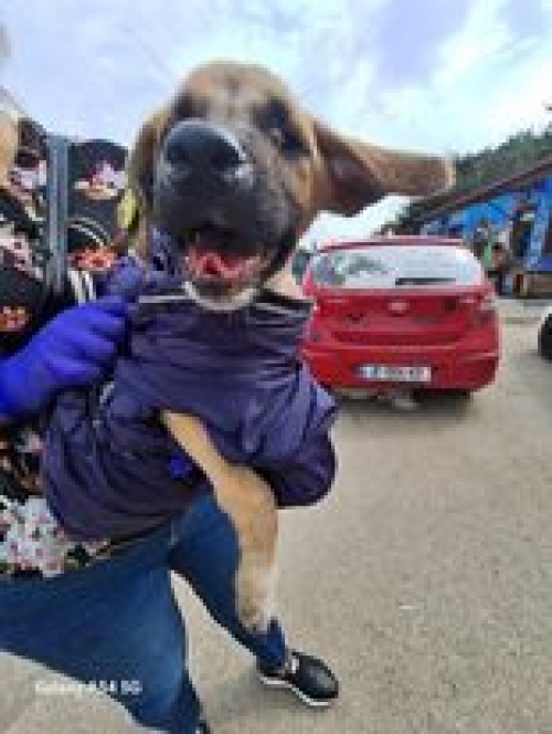 მეტისი ისთპოინტი