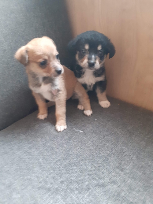 მეტისი უსახელო