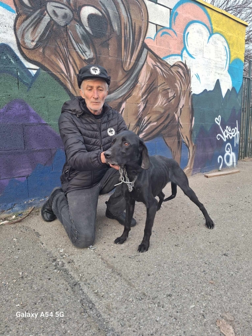 მეტისი ვარკეთილის მეტრო