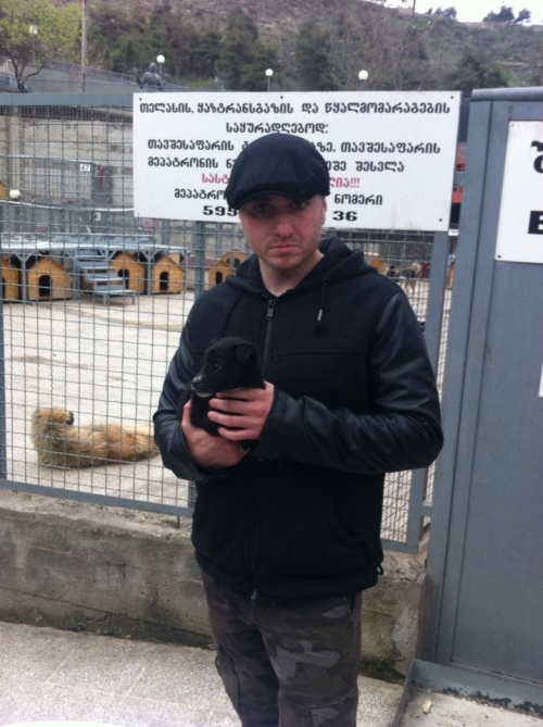 მეტისი უსახელო