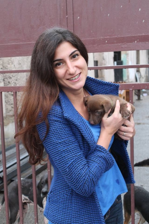 მეტისი უსახელო