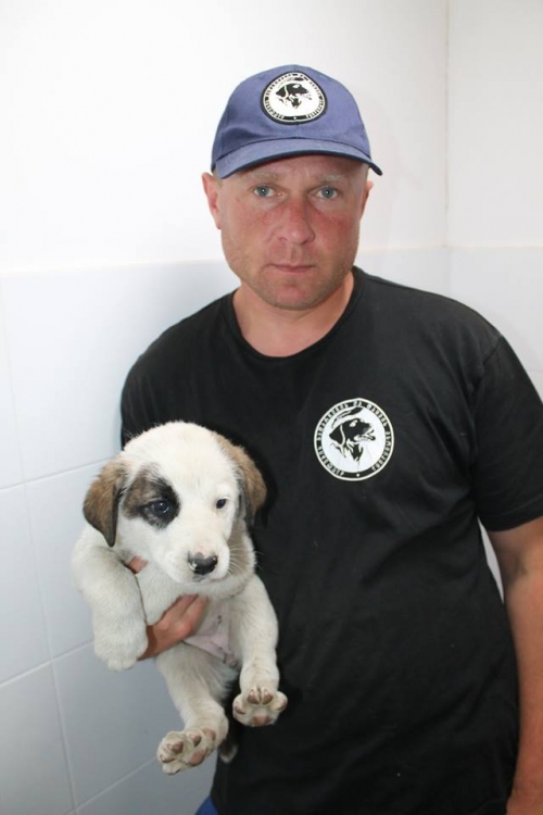 მეტისი უსახელო