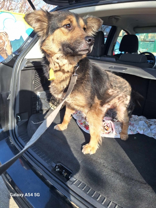 მეტისი მოსკოვის გამზირი 25 ნომერი