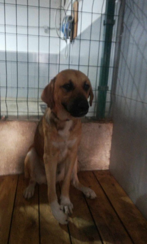 მეტისი მე 3 მასივი