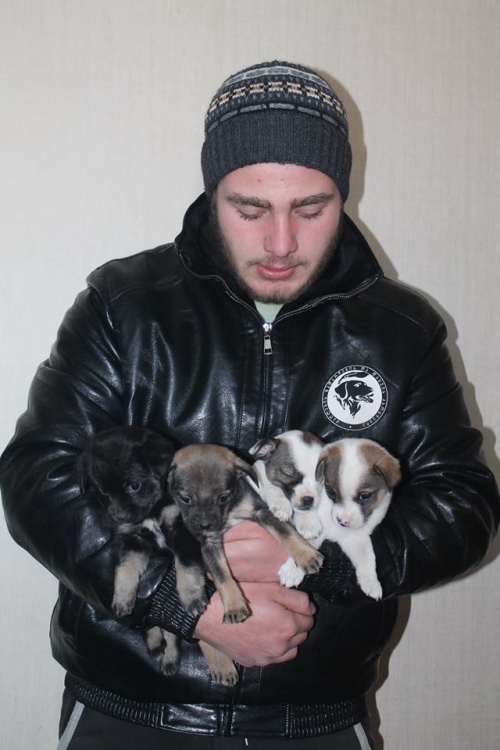 მეტისი უსახელო