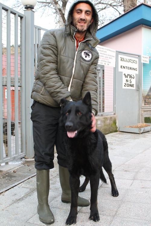 ბელგიური ნაგაზი უსახელო