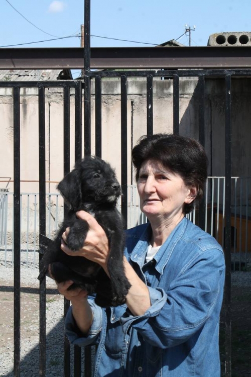 ბალონკის მეტისი უსახელო