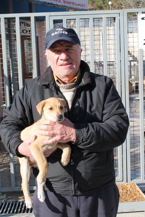 მეტისი უსახელო