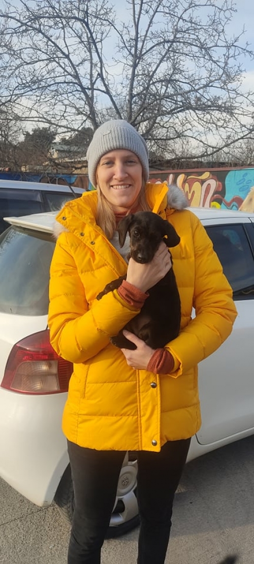 მეტისი ნაპოვნია არაგველების ტაძართან