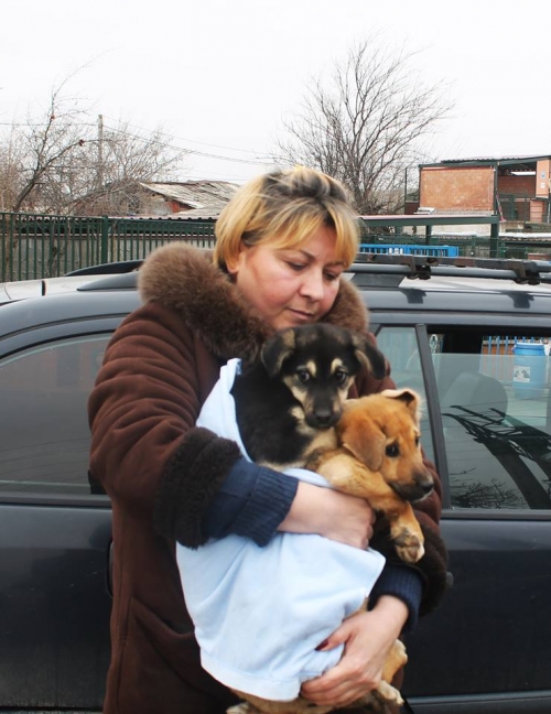 მეტისის ლეკვები უსახელო