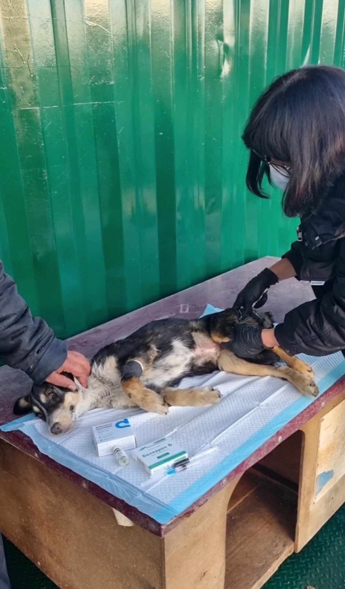 მეტისი იუსტიციის სახლი