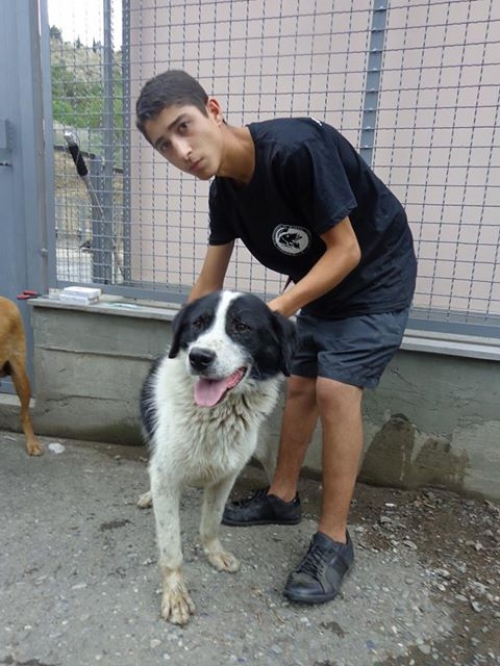 მეტისი უსახელო