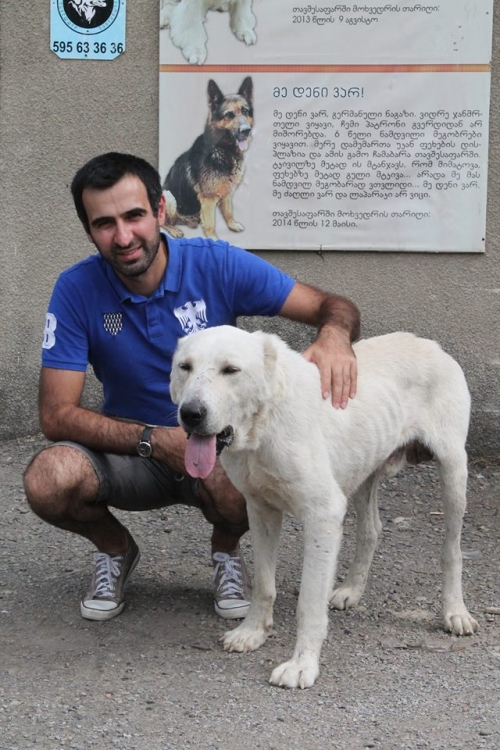 ქართული ნაგაზი უსახელო