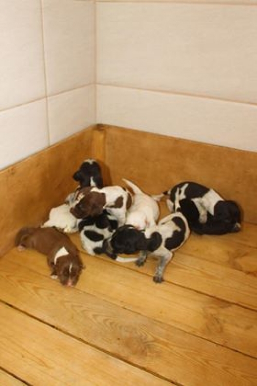 მეტისი უსახელო