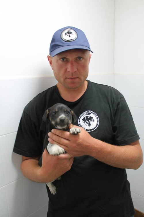 მეტისი უსახელო