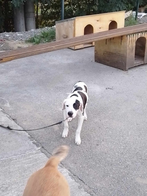 მეტისი ნაპოვნია თავშესაფართან