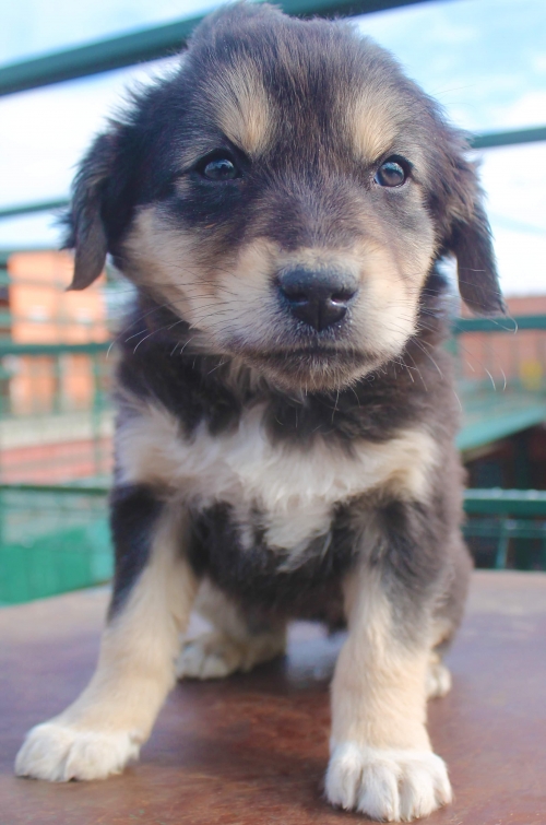 მეტისი უსახელო