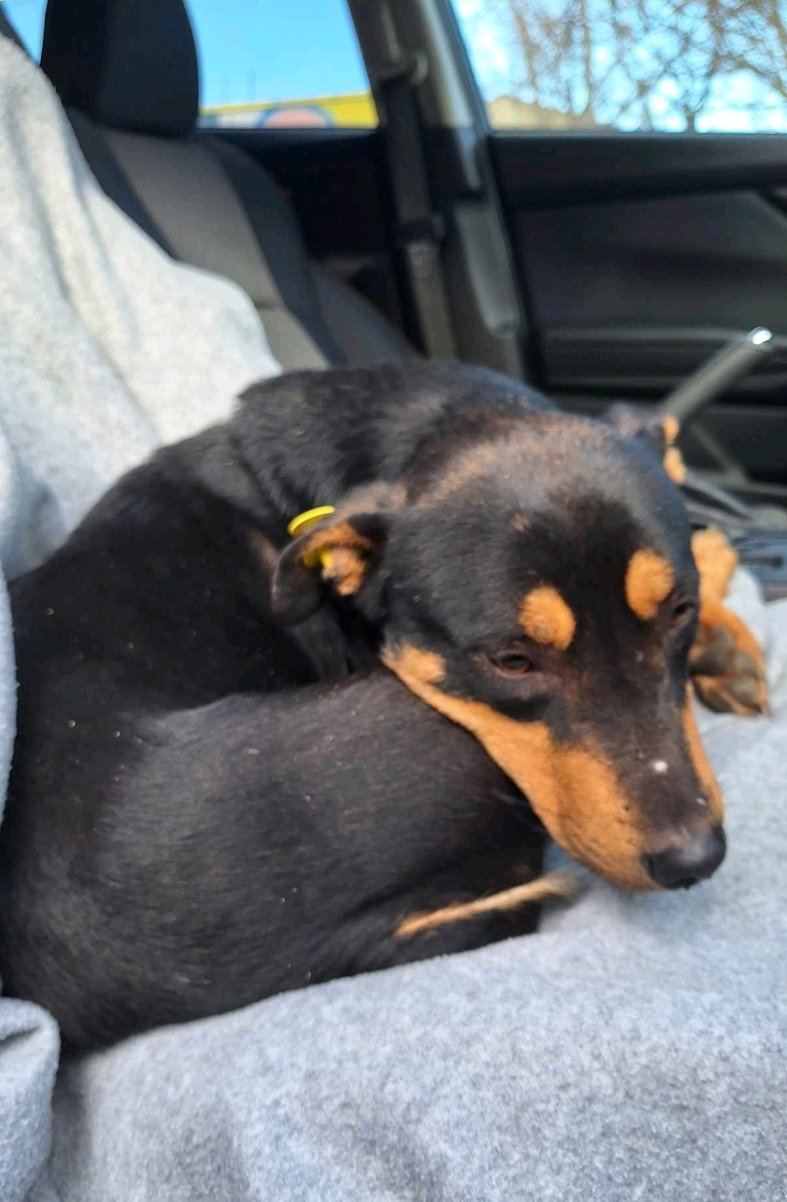 მეტისი. აგარაკის ქუჩა