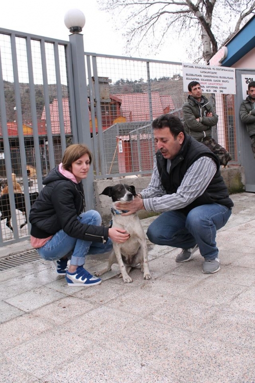 მეტისი უსახელო