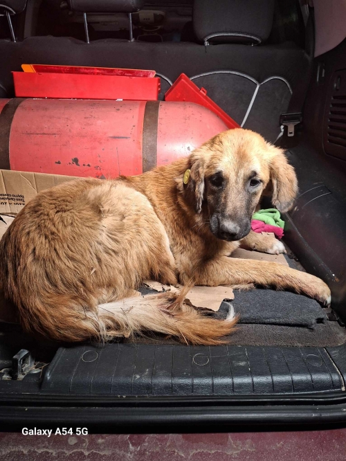 მეტისი მე 3 მასივი მე 6 კვარტალი ,,რიჟიკა,,