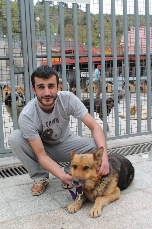 გერმანული ნაგაზი ჯინა