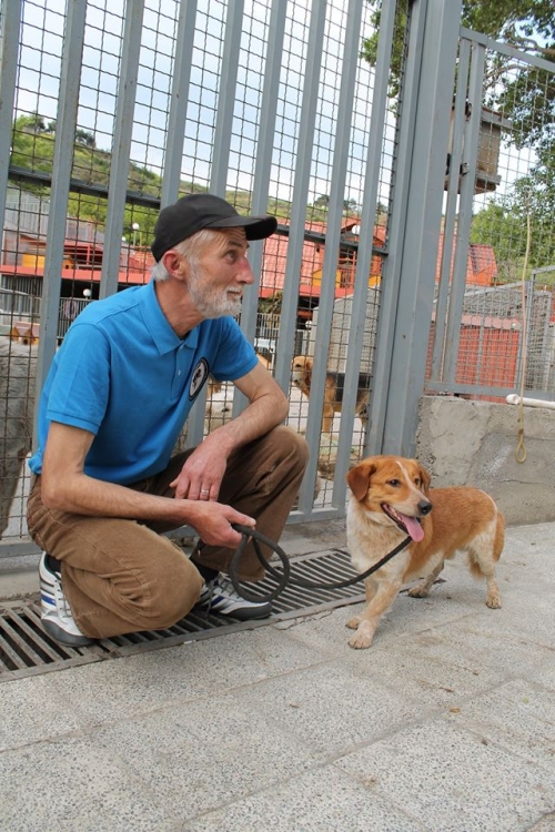 მეტისი უსახელო